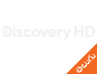 Discovery HD Telugu